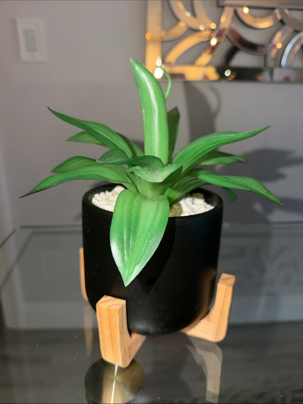 Artificial Green Succulent in Black Ceramic Pot with Wooden Stand